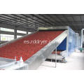 Multi Pass Belt Drying Machinery